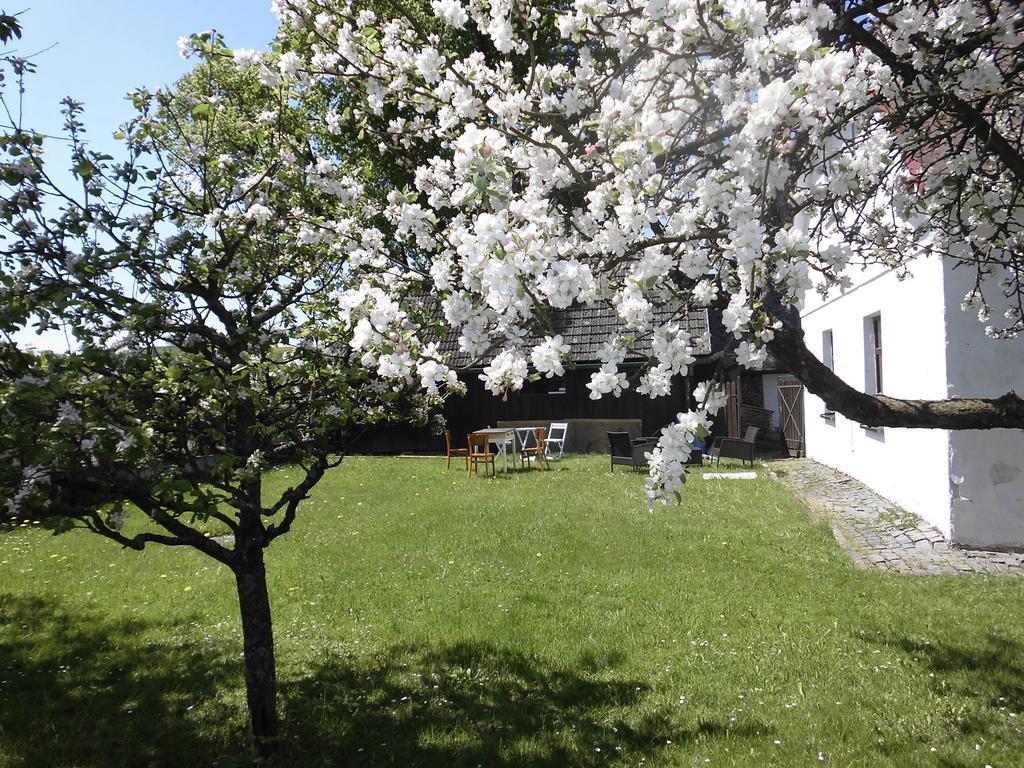 Abc Apartments Černá v Pošumaví エクステリア 写真